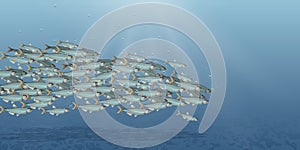 Vector Illustration of the sea landscape, school of fish. Plenty of herring or cod moving in the sea. Cartoon underwater