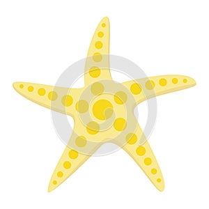 Vector illustration. Sea star on a white background. isolated object. Undersea world