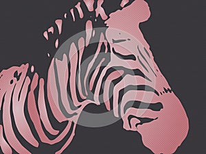 Vector illustration of seamless colorful zebra,