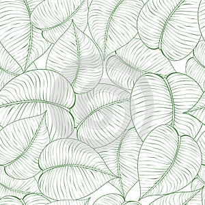 Vector illustration of seamless green leaf pattern. Abstract floral background with leaves, line style pattern, floral