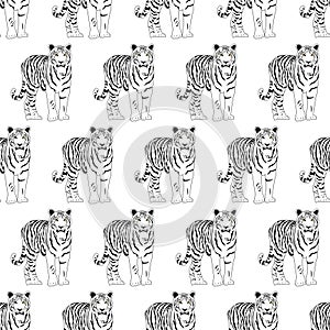 Seamless pattern of an adult Bengal tiger in black and white, on a white background