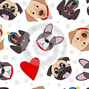 Vector illustration, seamless pattern of funny head of purebred dogs