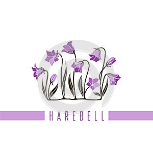 Vector illustration of a series of pictures with different flowers. The harebell is depicted in a flat style.