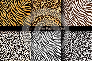 Vector illustration set of animal seamless prints. Tiger and leopard patterns collection in different colors in flat