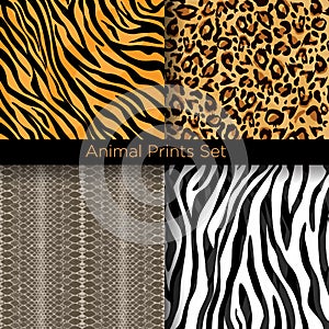 Vector illustration set of animal skin seamless patterns. Tiger, zebra, snake and leopard skins patterns collection.