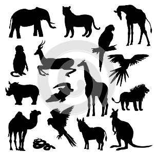 Vector illustration. Set of animals, parrot, giraffe, monkey, gazelle, elephant, rhinoceros, kangaroo, camel, lion, zebra, crocodi