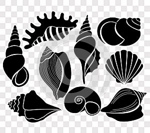 Vector illustration set of beautiful sea shells black silhouettes isolated on transparent background.