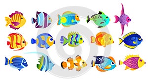 Vector illustration set of bright colors tropical fishes isolated on white background in flat cartoon style.