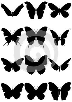 Ilustraciones un conjunto compuesto por mariposa 