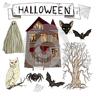 Vector illustration set of cartoon assorted Halloween accessories Spider, Black Cat, Web, Bat, landscape with scary old house, old