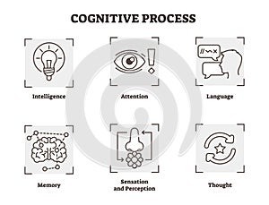 Vector illustration set of cognitive process. Scheme with , attention, and perception types. Psychology basics icon collection.