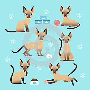 Vector illustration set of cute cat in different poses. Eating, sleeping, sitting and playing kitten in flat cartoon