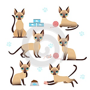 Vector illustration set of cute kitten in various poses with cat paw prints on white background. Collection of cat in