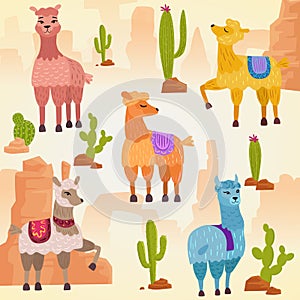 Vector Illustration set of cute vector alpaca lama and cactus with stones and rocks.