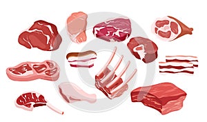 Vector illustration set of fresh meat icons, pieces of fresh tasty meat, steak, ribs in flat style. Gastronomic, cooking