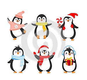Vector illustration set of funny Christmas penguins in warm clothes. Cute penguins collection for winter holidays