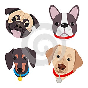 Vector illustration, set of funny head of purebred dogs, on a white background