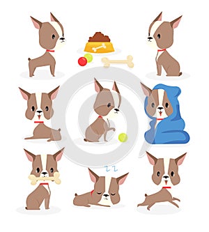 Vector illustration set of funny puppy in different actions and positions, dog daily routine collection, cute little