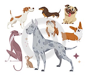 Vector illustration, set of funny purebred dogs, on a white background.