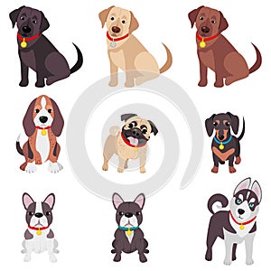 Vector illustration, set of funny purebred dogs, on a white background.