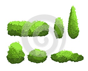 Vector illustration set of garden green bushes and decorative trees different shapes. Shrub and bush collection in