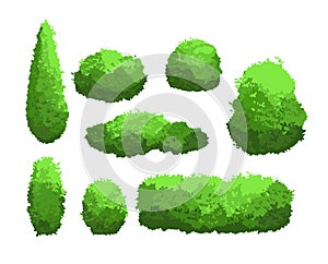 Vector illustration set of garden green bushes and decorative trees. Shrub and bush collection in cartoon style isolated