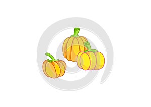 Vector illustration. Set of handdraw pumpkins, isolated, on white background