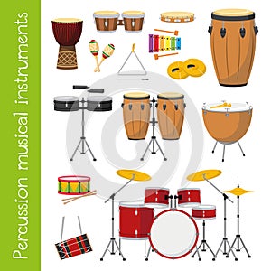 Vector illustration set of percussion musical instruments in cartoon style