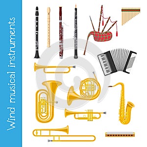 Vector illustration set of wind musical instruments in cartoon style