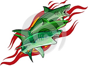 vector illustration of sharks on white background