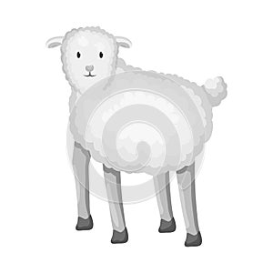 Vector design of sheep and anima symbol. Set of sheep and lamb vector icon for stock. photo