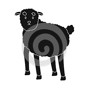 Vector design of sheep and anima symbol. Collection of sheep and lamb stock symbol for web. photo