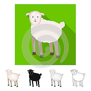 Vector illustration of sheep and anima symbol. Set of sheep and lamb stock vector illustration. photo