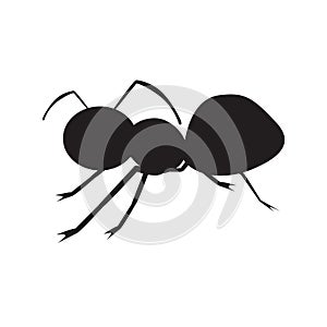 Vector illustration silhouette of ant on white background isolated and side view profile.