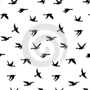 Vector seamless pattern with birds