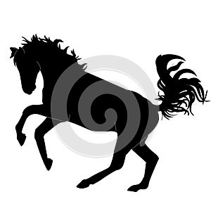 vector illustration of the silhouette of a horse jumping in black. Isolated on a white background.