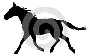 Vector illustration silhouette of a running horse