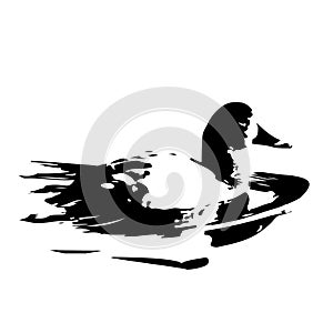 The vector illustration silhouette of swimming duck bird in white background