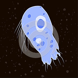 Vector illustration of single-celled eukaryote Percolozoa, Protozoa