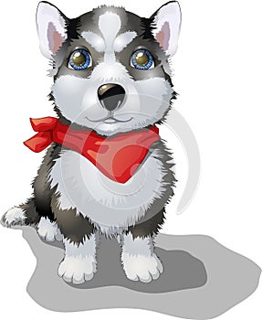 Vector illustration sitting purebred husky dog in red scarf