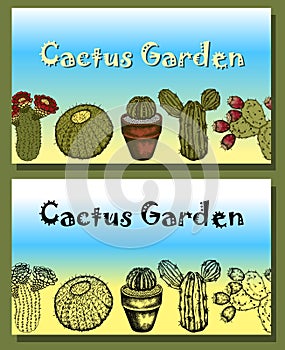 Vector Illustration of sketch hand drawn set of Cactus Garden poster with cacti succulent plants, flowers.