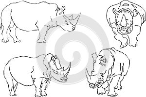 Vector illustration sketch of rhino