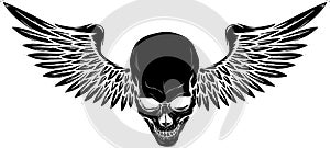 vector illustration of Skull with bird wings