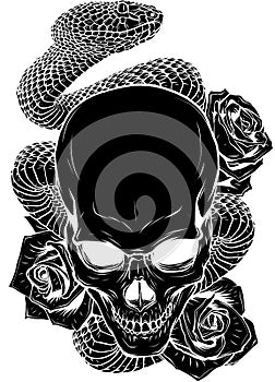 vector illustration of skull, roses and snake