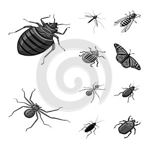 Vector illustration of small and animal sign. Set of small and wildlife stock symbol for web.