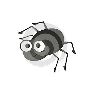 Small cute black bug