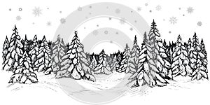 Vector illustration of snowy firs. Winter forest covered with the snow, hand drawn sketch.