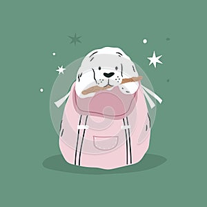 Vector illustration of a spaniel dog sitting in a backpack. Vacation, journey vibe