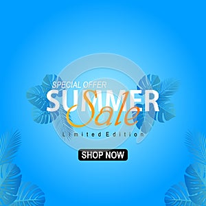 Vector illustration special offer summer sale poster promotion