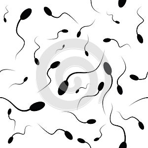 Vector illustration of spermatozoon